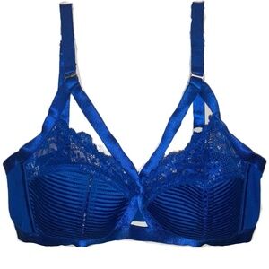 RARE blue dita von teese bra